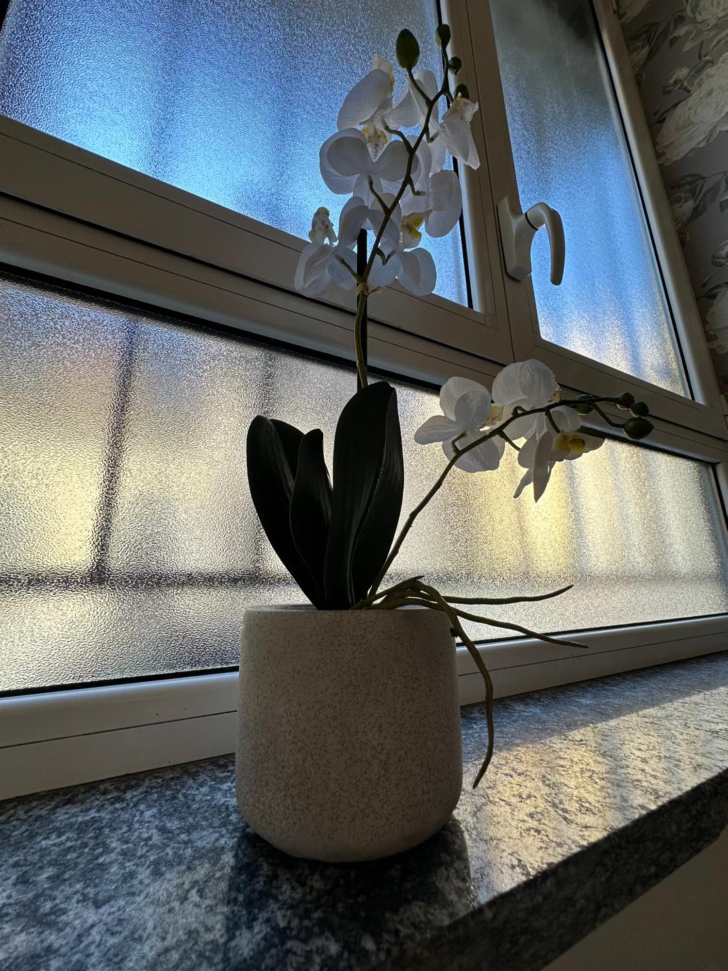 Flowers, A Cozy Suite In Milan Luaran gambar